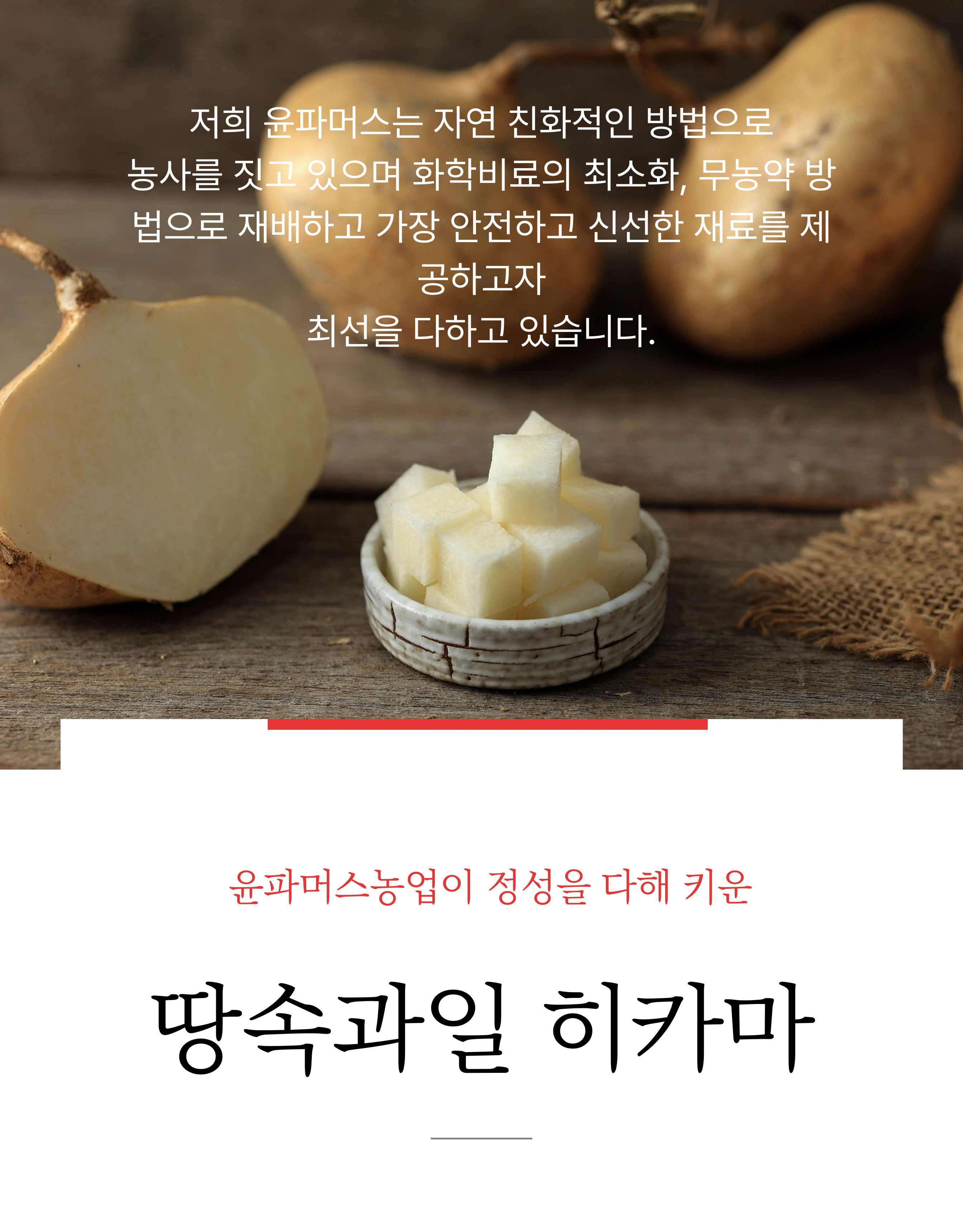 국내산 히카마는 현재 재배중에 있습니다