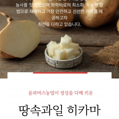 국내산 히카마는 현재 재배중에 있습니다