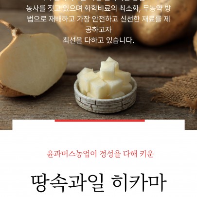 국내산 히카마는 현재 재배중에 있습니다